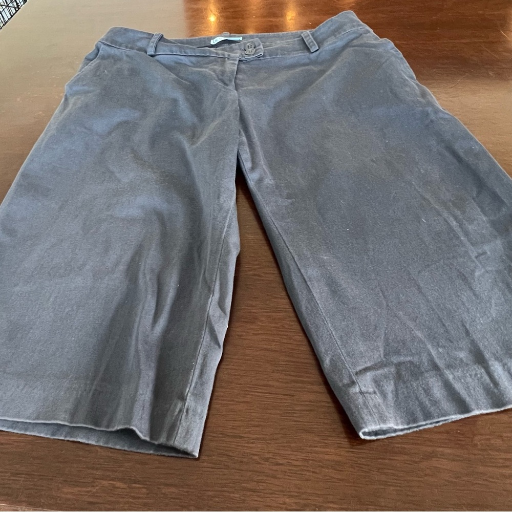 Shyde Paris Dark Gray Flat Front Shorts